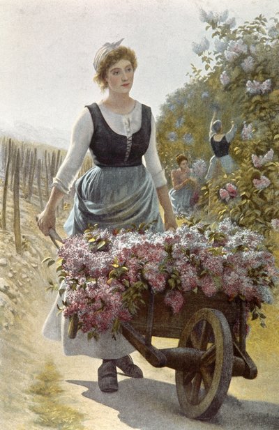 The Harvest of Flowers by Emile Millochau