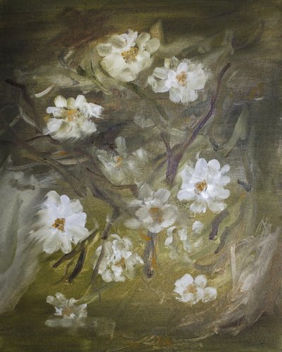Soft White Blossoms by Emily Tingey
