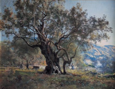 Olive Trees in Vallonnet by the Side of the Road by Emmanuel Lansyer