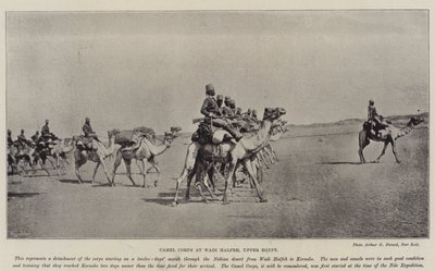 Camel Corps at Wadi Halfeh, Upper Egypt by English Photographer