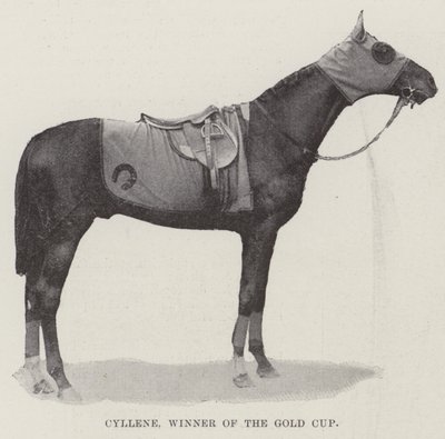 Cyllene, Winner of the Gold Cup by English Photographer