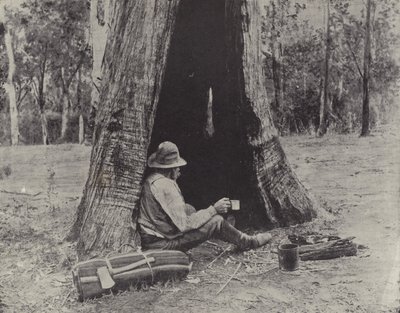 Down on His Luck by English Photographer