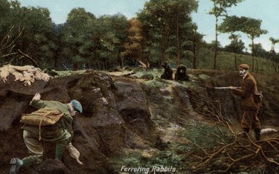 Ferreting for rabbits in the countryside by English Photographer