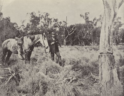 Finding an Emu
