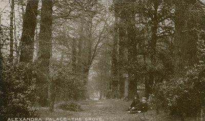 General View of The Grove at Alexandra Palace by English Photographer