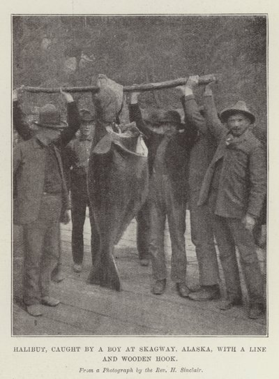 Halibut caught by a Boy at Skagway, Alaska, with a Line and Wooden Hook by English Photographer