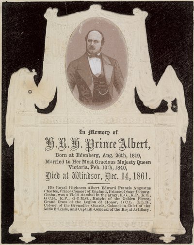 In memory of His Royal Highness Prince Albert by English Photographer