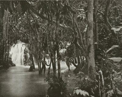 Jamaica: Blue Pool-Roaring River, St Anns by English Photographer
