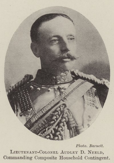 Lieutenant-Colonel Audley D. Neeld, Commanding Composite Household Contingent by English Photographer