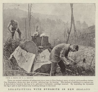 Log-Splitting with Dynamite in New Zealand by English Photographer