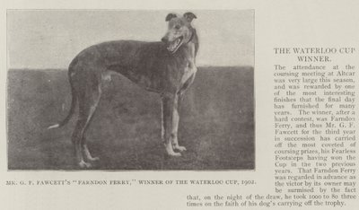 Mr G F Fawcetts Farndon Ferry, Winner of the Waterloo Cup, 1902 by English Photographer