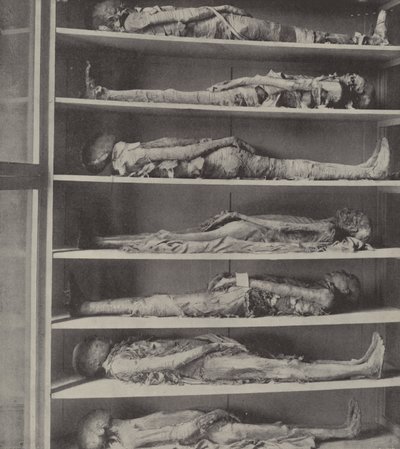 Mummies of priests, The bodies of priests embalmed before Aaron and his sons were appointed by English Photographer