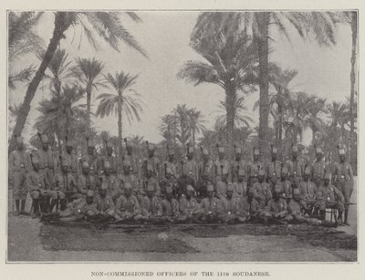 Non-Commissioned Officers of the 11th Soudanese by English Photographer