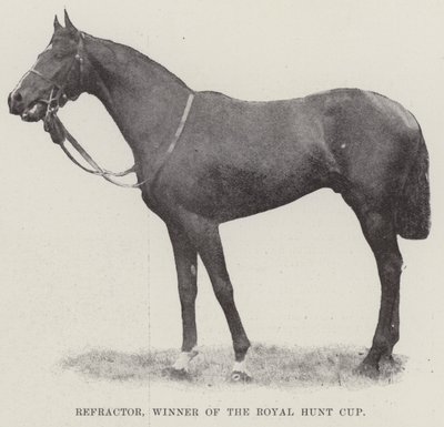 Refractor, Winner of the Royal Hunt Cup by English Photographer