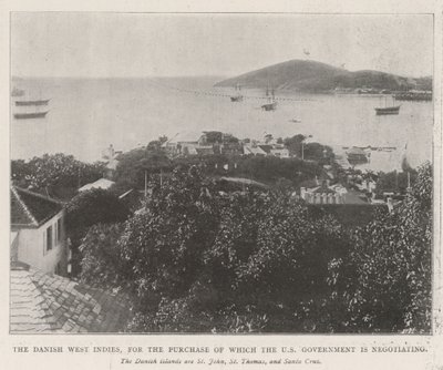 The Danish West Indies, for the Purchase of which the US Government is negotiating by English Photographer