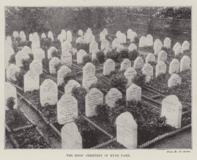 The Dogs Cemetery in Hyde Park by English Photographer