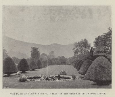 The Duke of York