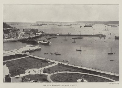 The Naval Manoeuvres, the Fleet in Torbay by English Photographer