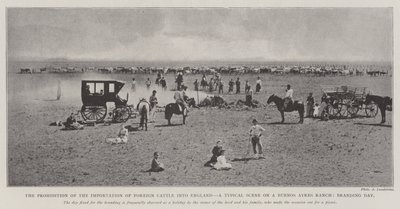 The Prohibition of the Importation of Foreign Cattle into England, a Typical Scene on a Buenos Aires Ranch, Branding Day by English Photographer