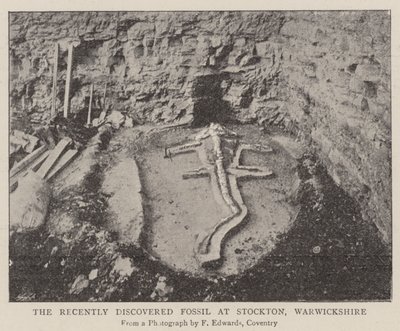 The Recently Discovered Fossil at Stockton, Warwickshire by English Photographer