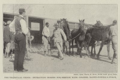 The Transvaal Crisis, detraining Horses for Service with Colonel Baden-Powell