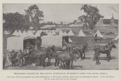 Transport Wagons of the South Australian Bushmen