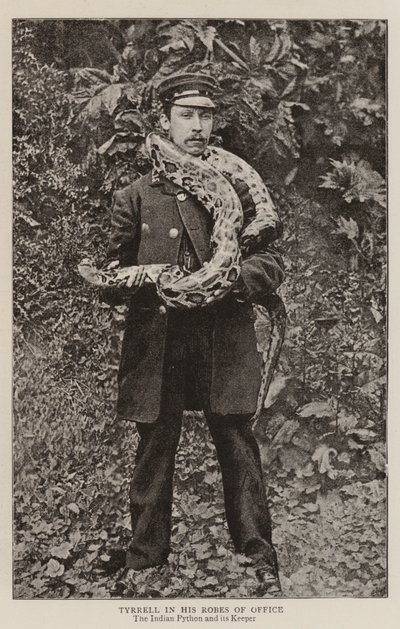 Tyrrell in his Robes of Office by English Photographer