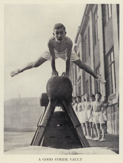 Vaulting: A good stride vault by English Photographer