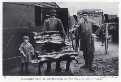Wiltshire sides of bacon cured on the farm in an outhouse by English Photographer