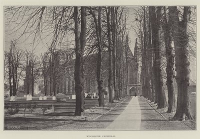 Winchester Cathedral by English Photographer