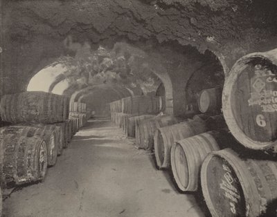 Wine Vaults by English Photographer