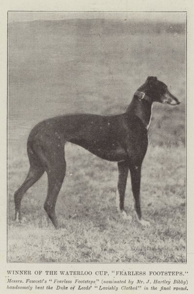 Winner of the Waterloo Cup, Fearless Footsteps by English Photographer