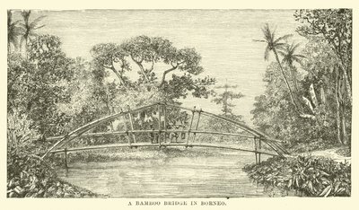 A Bamboo Bridge in Borneo by English School