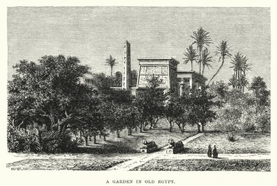 A Garden in Old Egypt by English School