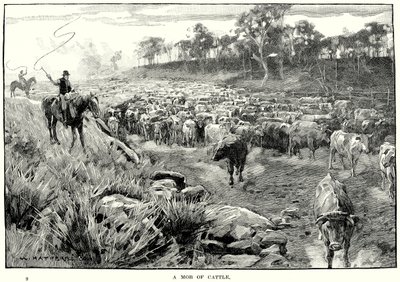 A Mob of Cattle by English School