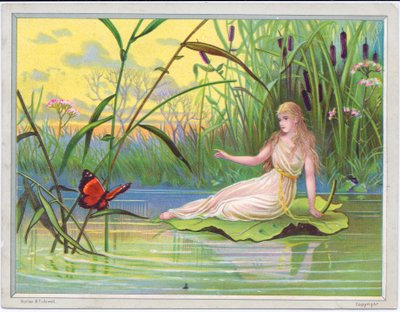 A Victorian Greeting Card of a Fairy Reclining on a Lotus Lily Leaf Looking at a Butterfly Against a Background of Bullrushes, c.1880 by English School