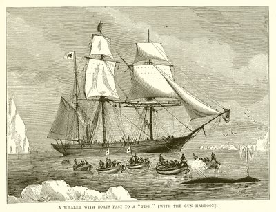 A Whaler with Boats fast to a Fish (with the Gun Harpoon) by English School