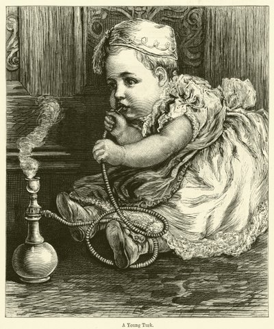 A Young Turk by English School