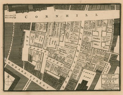 A plan of houses destroyed in the fire which began in Exchange Alley, Cornhill, London, on 25 March 1748 by English School