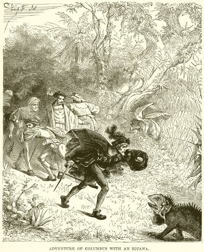 Adventure of Columbus with an Iguana by English School