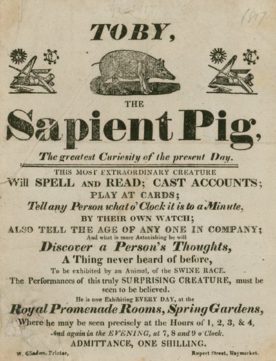 Advert for Toby the Sapient Pig, the greatest curiosity of the present day by English School
