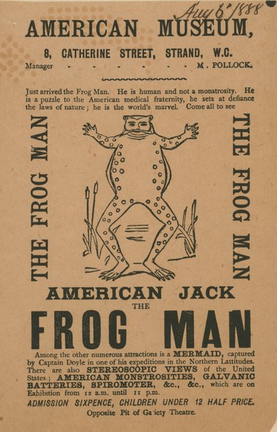 Advert for the American Museum by English School