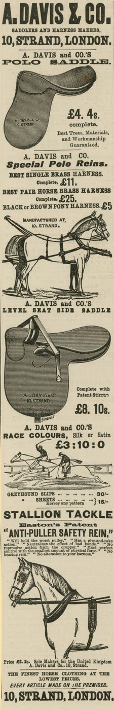 Advertisement for A. Davis & Co. Saddlers and Harness Makers by English School