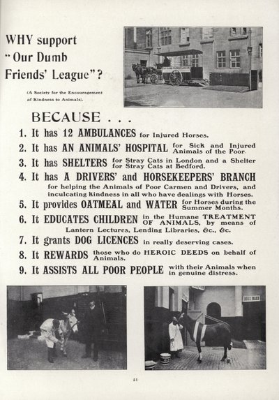 Advertisement for Our Dumb Friends League by English School