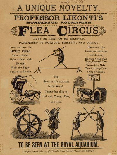 Advertisement for Professor Likonti