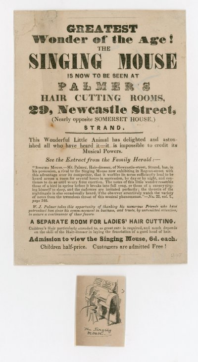 Advertisement for the Singing Mouse by English School
