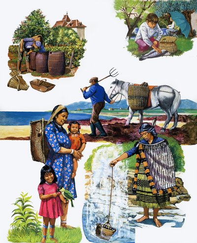 All Sorts of Baskets by English School