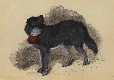 Alpine Mastiff by English School