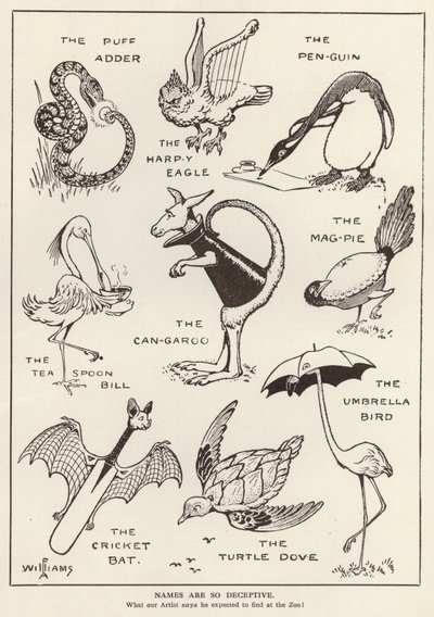 Amusing animals by English School
