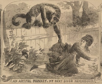 An Artful Monkey, My Next Door Neighbour, illustration from the 